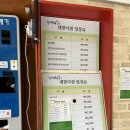 숲속의다향 | 보성 녹차밭 대한다원 / 보성 다향대축제 (+짧은 고흥 방문기)