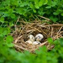 대학동-26 이미지