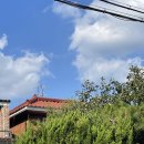 공방순 | 수성못에서 5분거리, 대구 상동 에서 분위기있고 감성적인 카페 젠코커피Genco coffee