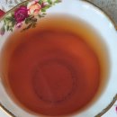 티룸동백 이미지