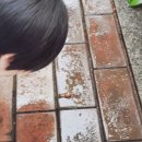 파티마치과의원 이미지