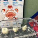 사람중심치과의원 이미지