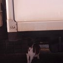 미니스톱 구미4공단점 이미지