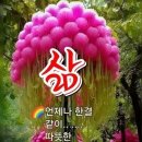 칠봉이네 이미지