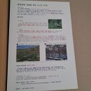 소랑골 멧산농원 사과 맛있네요(내돈내산) ; 아침사과가 좋은이유, 사과효능