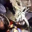 옥도면사무소 이미지