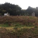 정정옹주묘 이미지