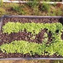 평화농장 이미지