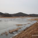 볼음저수지 이미지