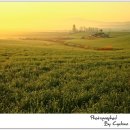 목장의아침 이미지