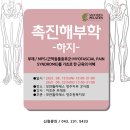 [청주필라테스/청주모던필라테스/모던필라테스청주지부] "촉진해부학-하지 워크샵" 후기