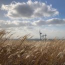 산풍목장 이미지