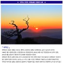 ♣31~1(일/월)태백산 천제단 새해일출과 황홀한 눈꽃 이미지
