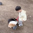 공작어린이공원 이미지