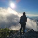 7월28일(화) 옥류동천=＞가지산일출(산행지변경) 이미지