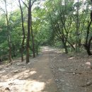 2016년 7월 12일(화요일)경기도 도립공원 수리산 둘레길 걷기 이미지