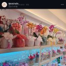 꽃슐랭