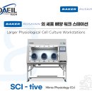 대일SCI 이미지