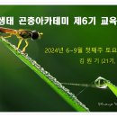 [모집] 숲생태 곤충아카데미 제6기 교육생 추가 모집 이미지