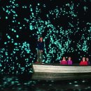 세계의 명소와 풍물, 120 뉴질랜드, 와이토모 반딧불이 동굴 이미지