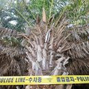 "이러다 제주 경제 폭망한다"…'범죄의 섬' 낙인에 '초비상' 이미지