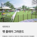 마이리틀메이트 이미지