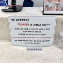 새솔동물병원 | 경기도 화성 새솔 강아지 동물병원 - 숲속동물병원 강아지 건강검진 진료 후기