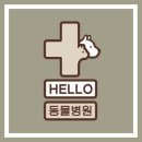 헬로우 동물병원 | 여의도역 예방접종 전문 병원 추천 List 4곳