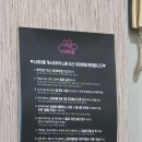 스테이블편의점 | 제주혼자여행기#2 연휴기간 제주도 숙소고민 끝! 혼자 여행에도 완벽했던 파티 게하 스테이블 후기! 🏝