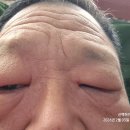 연세화랑의원 이미지