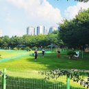 파크골프장 이미지