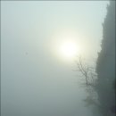 남부해물 이미지