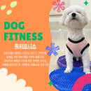 902댕스쿨 이미지