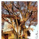 인왕산자락 이야기길 이미지