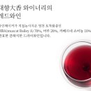 대향와인 레드 _ 국산 레드와인 후기 &amp; 아쉬움_250324