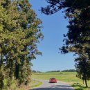 정하목장 이미지