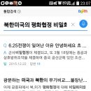 북한핵에 광분하는 미국과 북한의 무기비교....불장난 가능할까?? 북미간의 평화협정 비밀회의 이미지