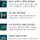 아스크 이미지