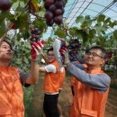 한화농장 이미지