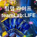 미디어랩라온 | 팀랩라이프 teamLab:LIFE 동대문 ddp 전시 후기