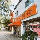 꼬치리아 이미지