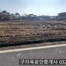 송해면-5 이미지