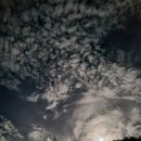 단양별소풍 이미지