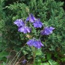 호텔 오월로 이미지