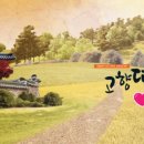 김창옥 인문학콘서트 | 사기꾼 기질의 기사님이 부처님 품 안에서 배운 것