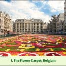 세계10대 꽃축제 이미지
