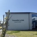 인제주 | 제주 구좌 브런치 카페 포레스텔라 인 제주 내돈내산 솔직 후기｜반려견 동반 정보