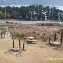 아지랑냉이랑 이미지