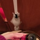 뮤지컬 ''세수'' 이미지