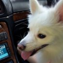 하이마트 앞 이미지